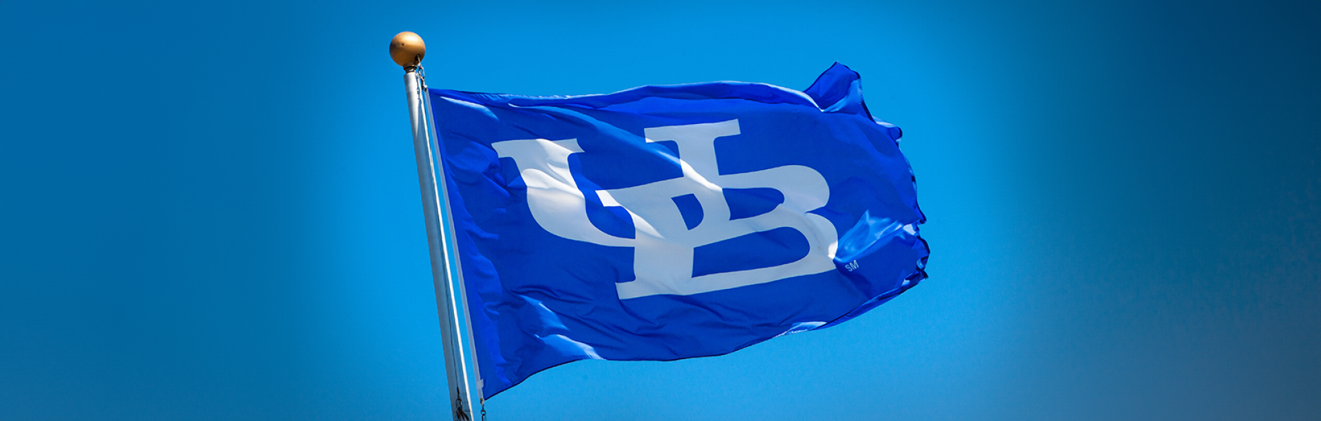 UB Flag.